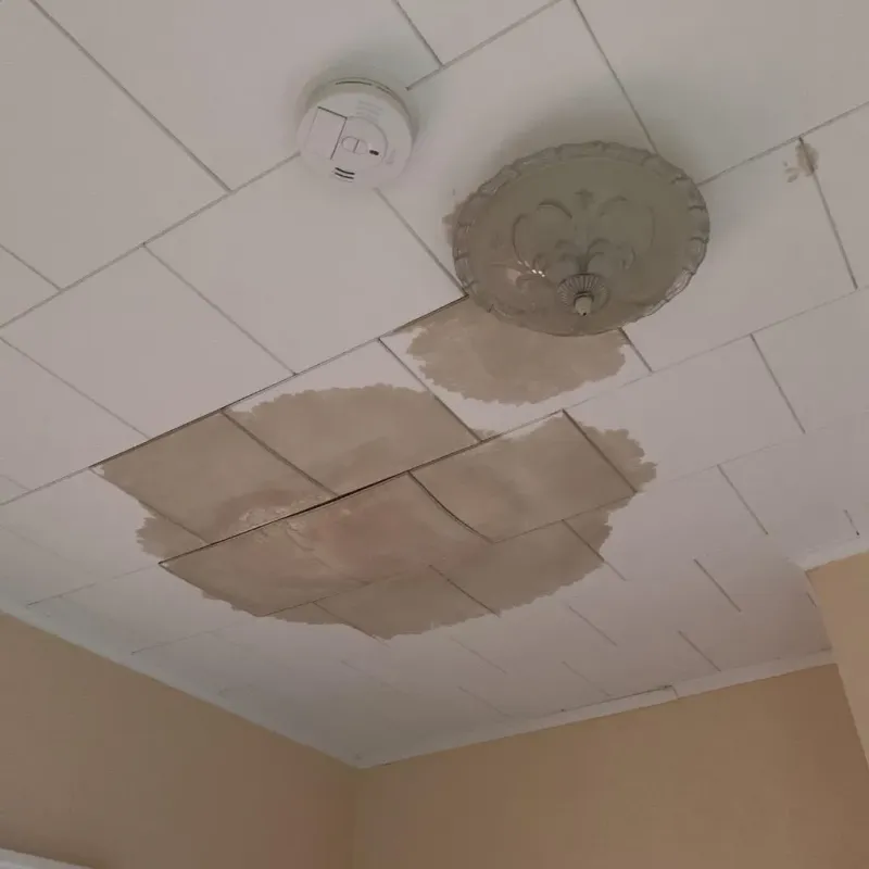 Ceiling Water Damage Repair in Columbia, PA